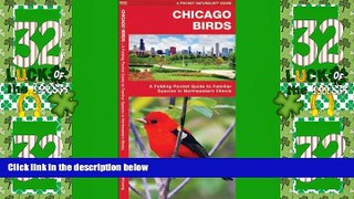 Big Sales  Chicago Birds: A Folding Pocket Guide to Familiar Species in Northeastern Illinois