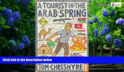 Books to Read  A Tourist in the Arab Spring (Bradt Travel Guides (Travel Literature))  Best Seller