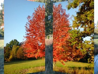 COULEURS D'AUTOMNE AU PARC DE SCHOPPENWIHR 2016