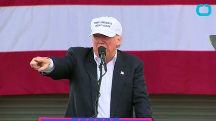 WikiLeaks Answers Questions About Election