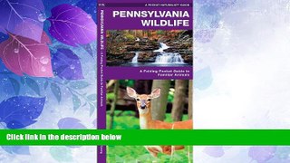 Buy NOW  Pennsylvania Wildlife: A Folding Pocket Guide to Familiar Species (Pocket Naturalist