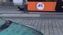 Flüchtling rastet völlig aus, Wien 10. Bezirk Absberggasse