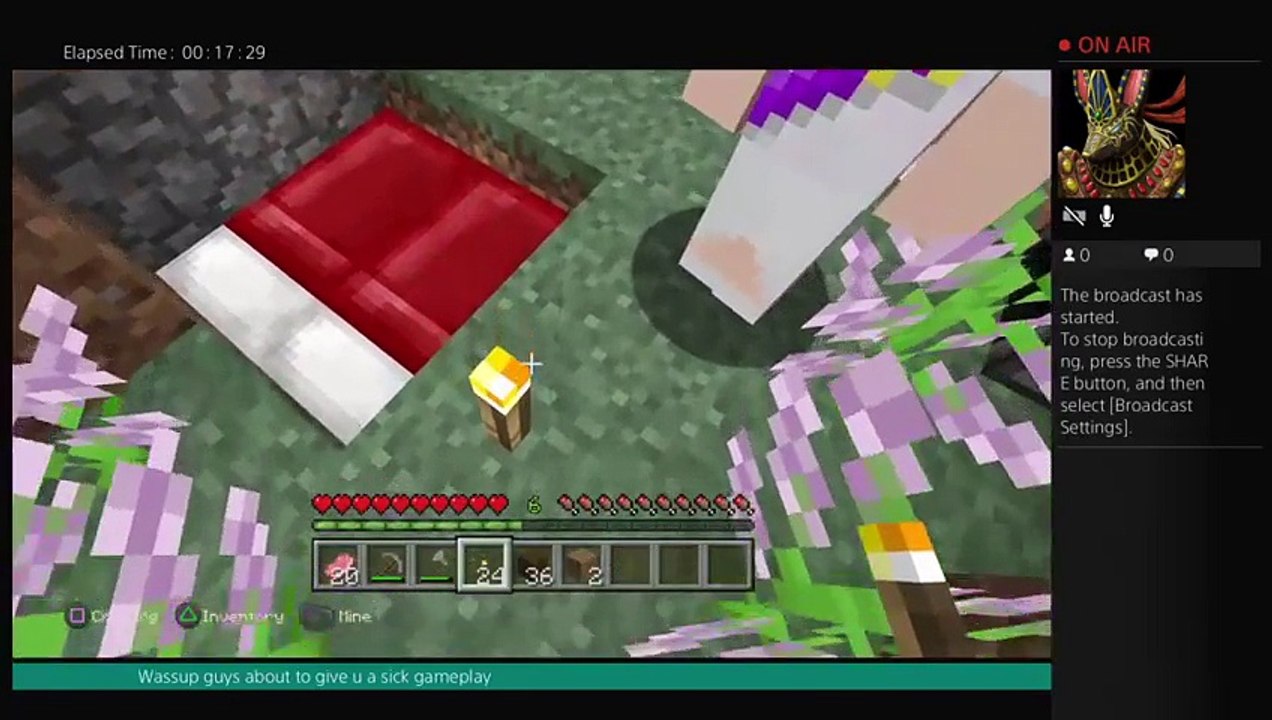 rocky_rl4's Live minecraft (36)