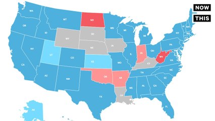 This Is How Millennials Voted