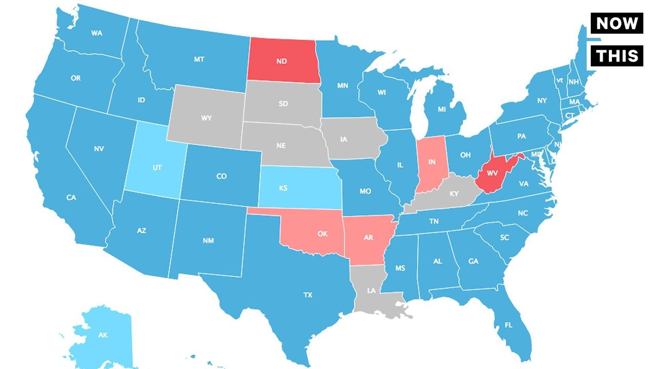 This Is How Millennials Voted
