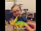Büyümüş de Küçülmüş Bebenin Şaşırtıcı Dinozor Bilgisi