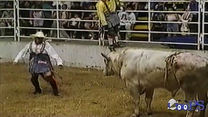 Bull fighting FUNNY VIDEOS