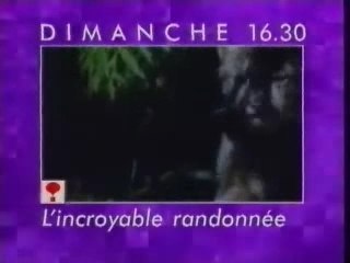 RTL TVI BANDE ANNONCE WEEK-END