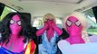 Superheroes Carpool Dancing In A Car Spiderman vs Frozen Elsa Joker Girl Cinderella Poison Ivy