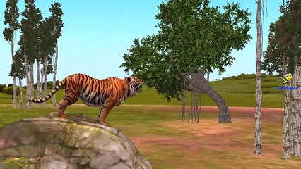 Finger Family Children Nursery Rhymes Tiger Cartoons | Finger Family Rhymes for Children