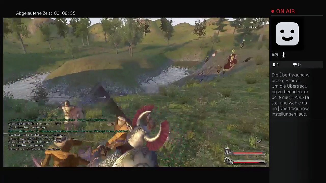 Mein erster strim (2)