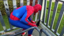 SUPERHERO MOVIES IRL Star Wars Battle SPIDERMAN vs DARTH VADER In Real Life Superhero movie