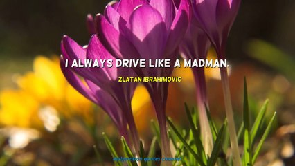 Zlatan Ibrahimovic Quotes #1
