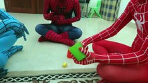 Spiderman Real Life w/ Red Spiderman & Blue Spiderman play Surprise games Spiderman House fun