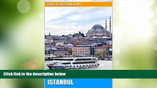 Big Sales  Easy Guide to Istanbul  Premium Ebooks Best Seller in USA