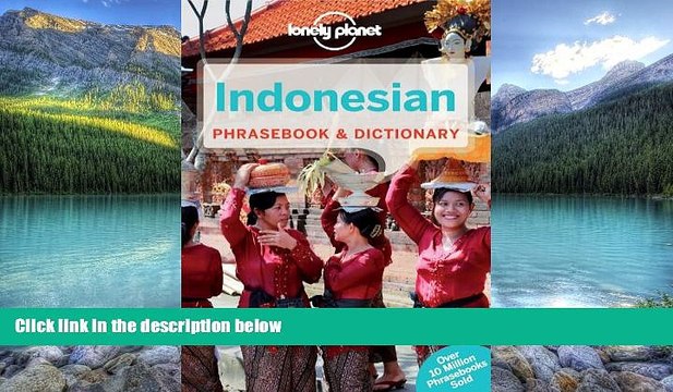 Best Buy Deals Lonely Planet Indonesian Phrasebook Dictionary (Lonely Planet Phrasebook and