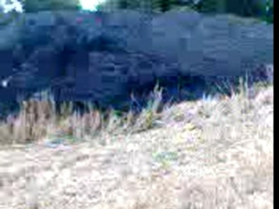 tir de patator dans un tas nois