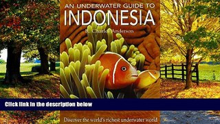 Best Buy Deals  An Underwater Guide to Indonesia  Full Ebooks Most Wanted