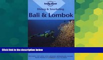 Must Have  Diving and Snorkeling Bali and Lombok (Lonely Planet)  Buy Now