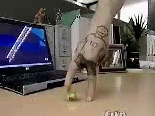 Awesome_Talent_-_Must_Watch(videomasti.com)