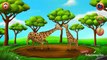 IOS Games For Kids - Feeding Time Safari - Learn How To Feed The Animals