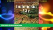 Big Sales  Indonesia, Etc.: Exploring the Improbable Nation  Premium Ebooks Online Ebooks