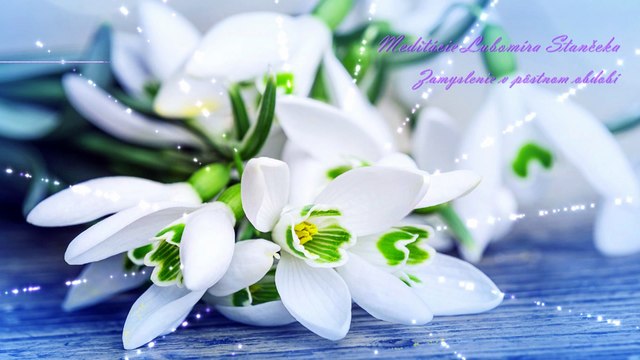 S vierou pozerajme na svoj život