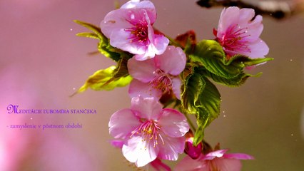 Blíži sa hodina "H"