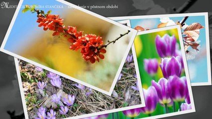 S vierou pozerajme na život