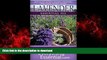 Read books  Lavender Essential Oil: Uses, Studies, Benefits, Applications   Recipes (Wellness