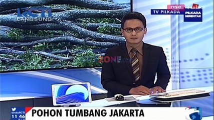Akibat Hujan Disertai Angin Kencang, Pohon Tumbang Menimpa Kendaraan dan Halte