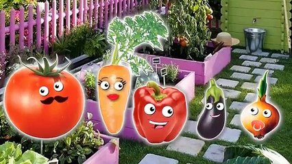 Vegetables Finger Family Nursery Rhymes Lyrics