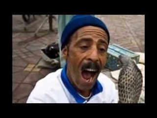 charmeur de cerpent snaik charmers