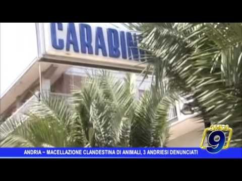Andria | Macellazione clandestina di animali, 3 andriesi denunciati