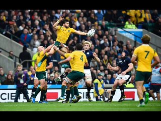 Watch Scotland vs Australia Rugby Online Telecast