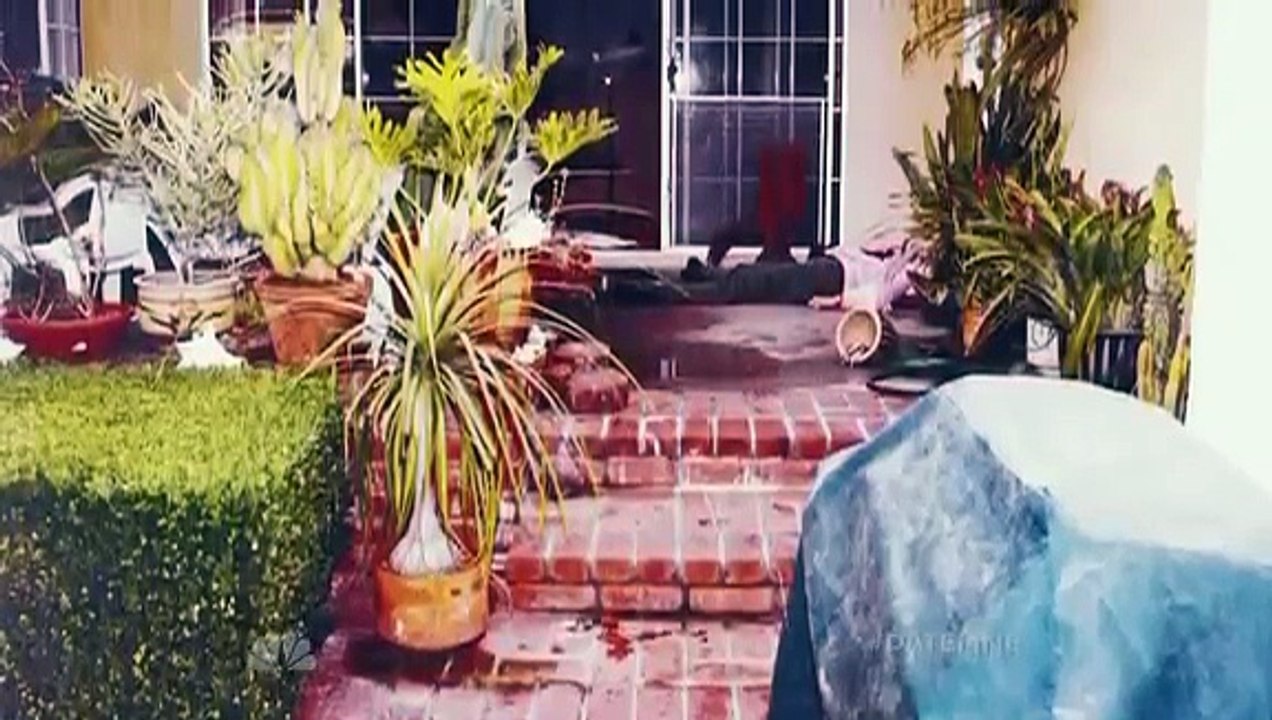 Dateline - 24x22 - Broad Daylight