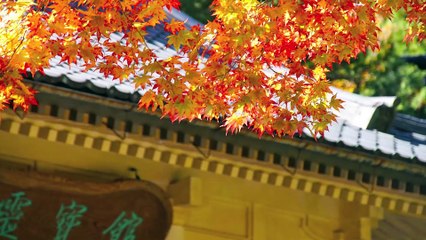 高野龍神ツーリング2016