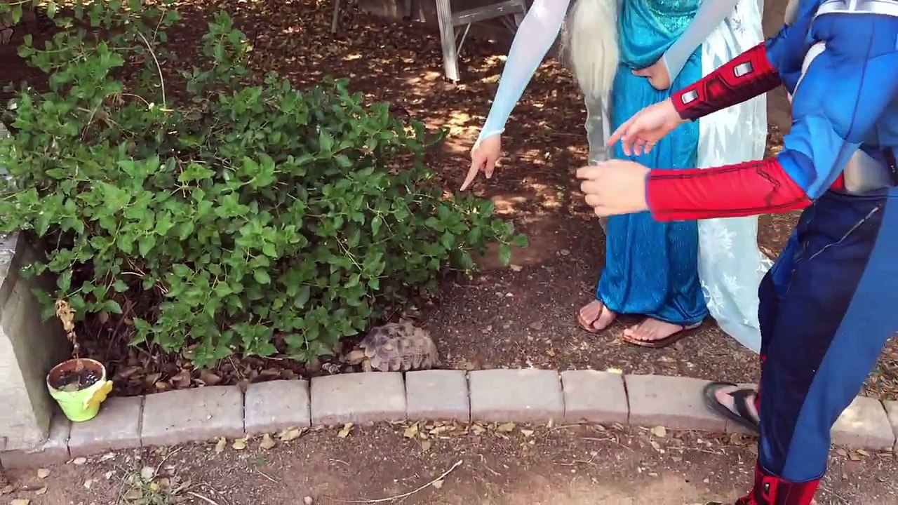 Spiderman VS. Frozen Elsa PRANK war! Maleficent Fun Superhero Movie In Real Life Compilation in 4k