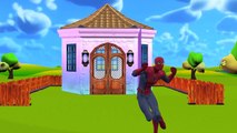 Spiderman Cartoons Itsy Bitsy Spider Nursery Rhymes For Children | Incy Wincy Spider Rhymes