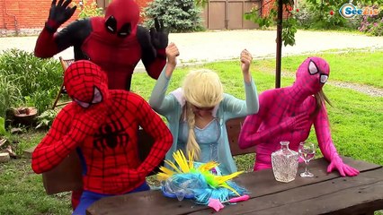 Karlar Kraliçesi Elsa ve Örümcek Adam, Malefiz, Joker, Pembe Örümcek Kızı - Gerçek hayatta