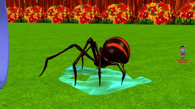 Incy Wincy Spider Nursery Rhymes For Children | Itsy Bitsy Spider Children Nursery Rhymes