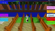 Roblox ds rom