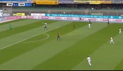 Federico Casarini Goal - Verona	0-1	Novara 13.11.2016
