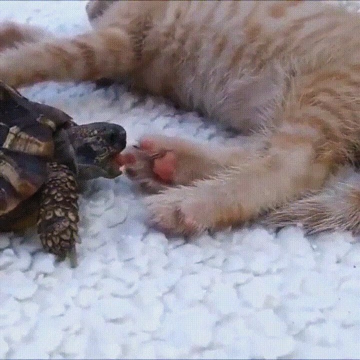 Who doesn't love a tasty snack