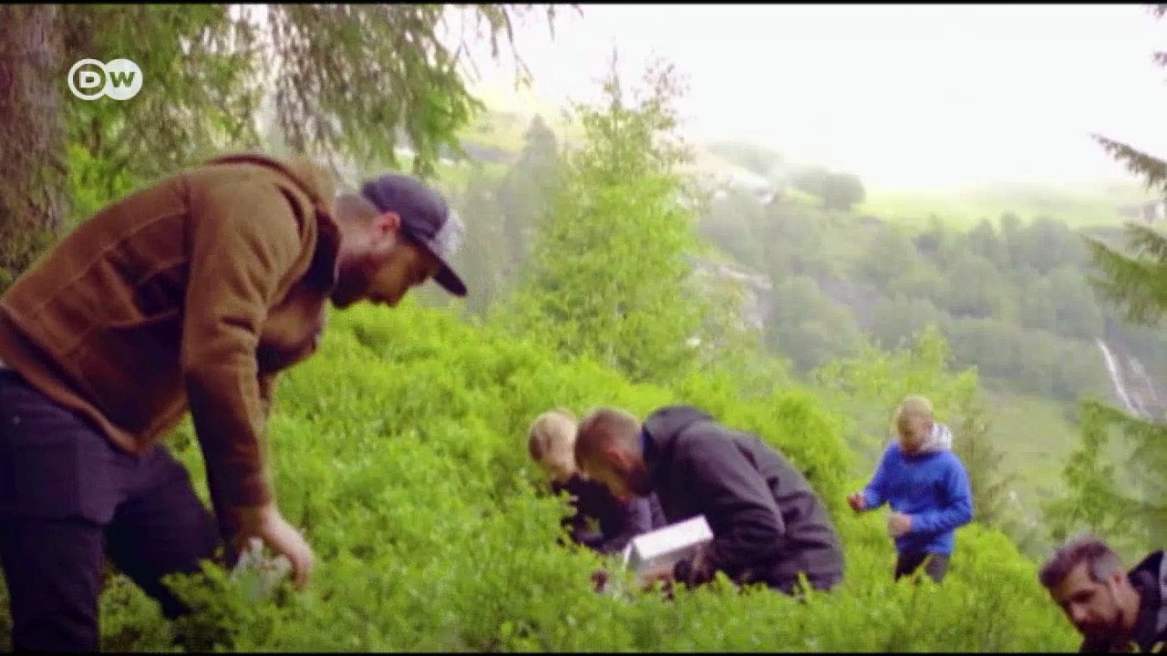 Swiss Stars | Euromaxx