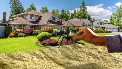 Wild Pets Spider Official TV Commercial