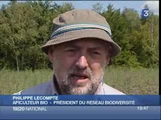 abeille & jachères destins liés