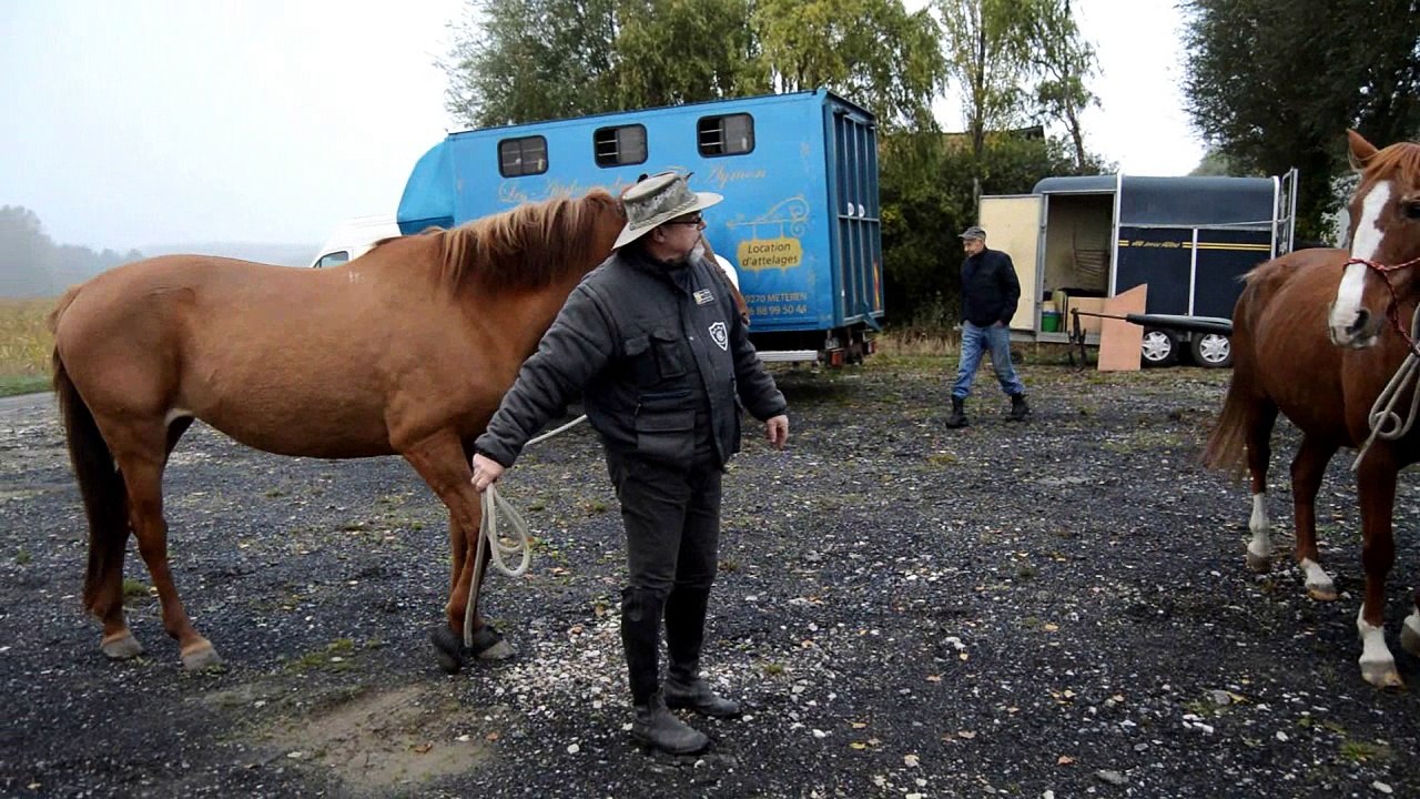 St Hubert Merckeghem 2016