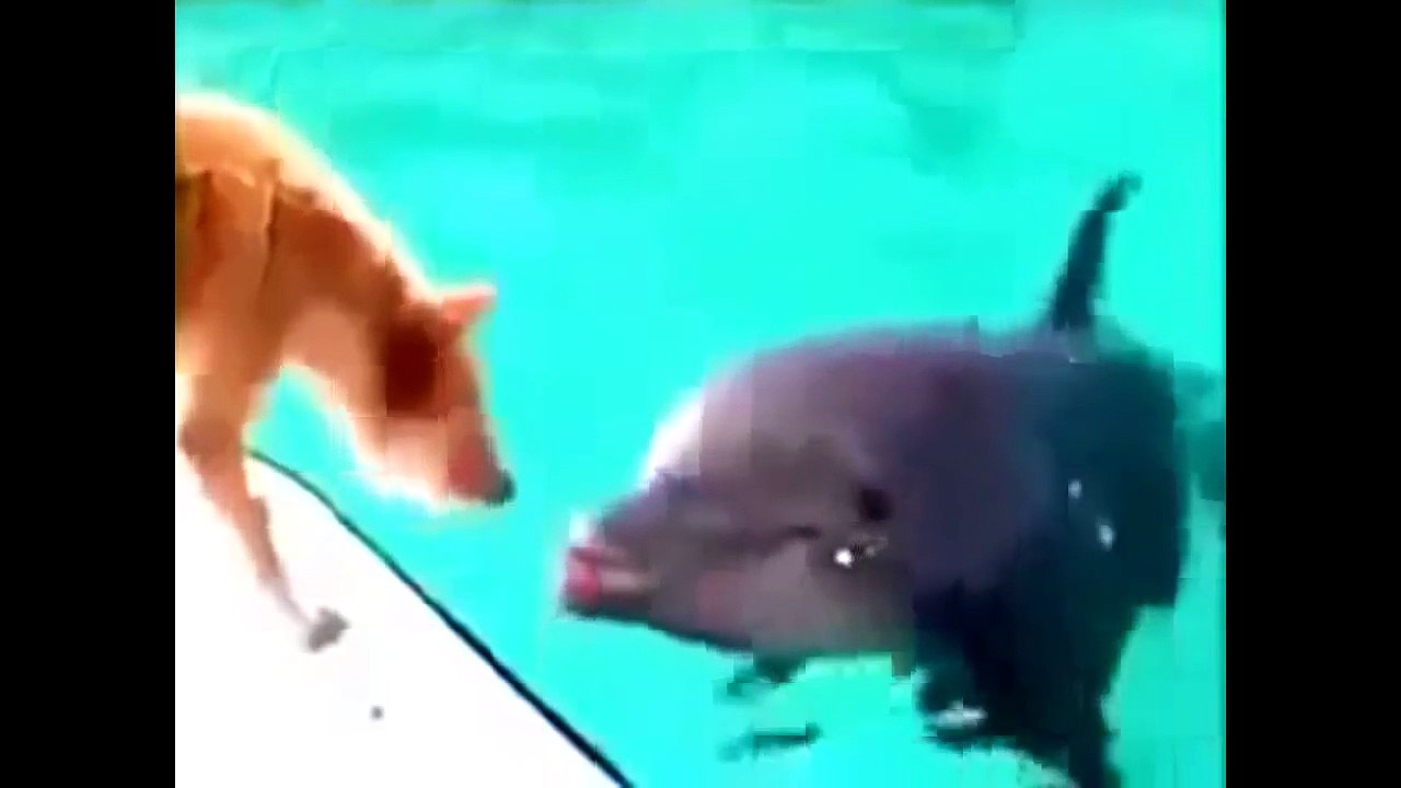 Phenomene etrange dans le monde 2016 #2