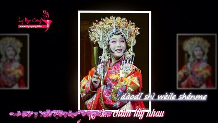 [OST 10 năm kinh điển] Đúng lúc gặp gỡ Người 《剛好遇見你》 [Vietsub + Pinyin - Lý Ngọc Cương 李玉刚 ]